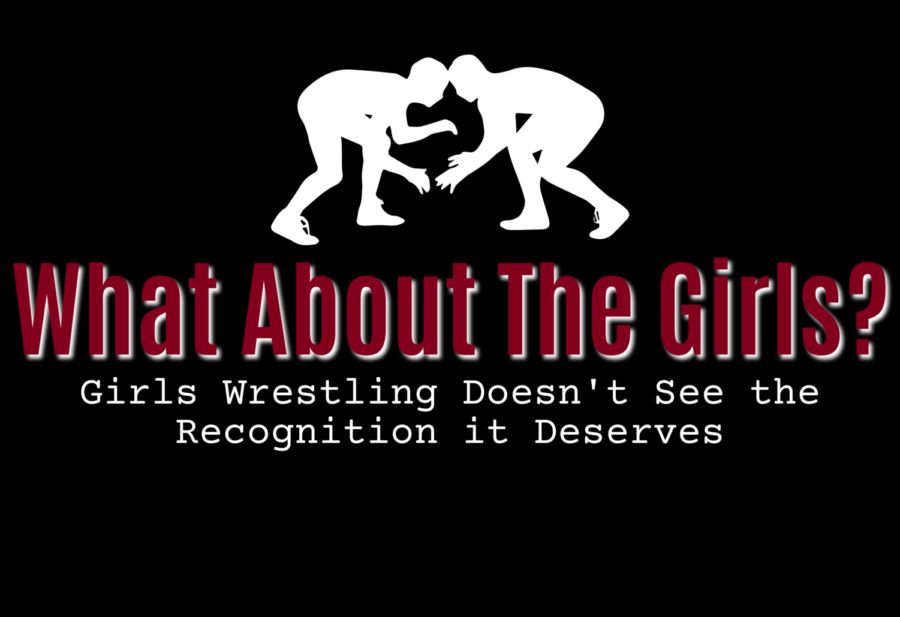 In a sport that has been ran by men for as long as anyone can remember, girls do not get the respect they deserve for joining in. At West High, across the state and all throughout the country, female wrestlers are struggling to gain the attention they deserve for the history they are making.