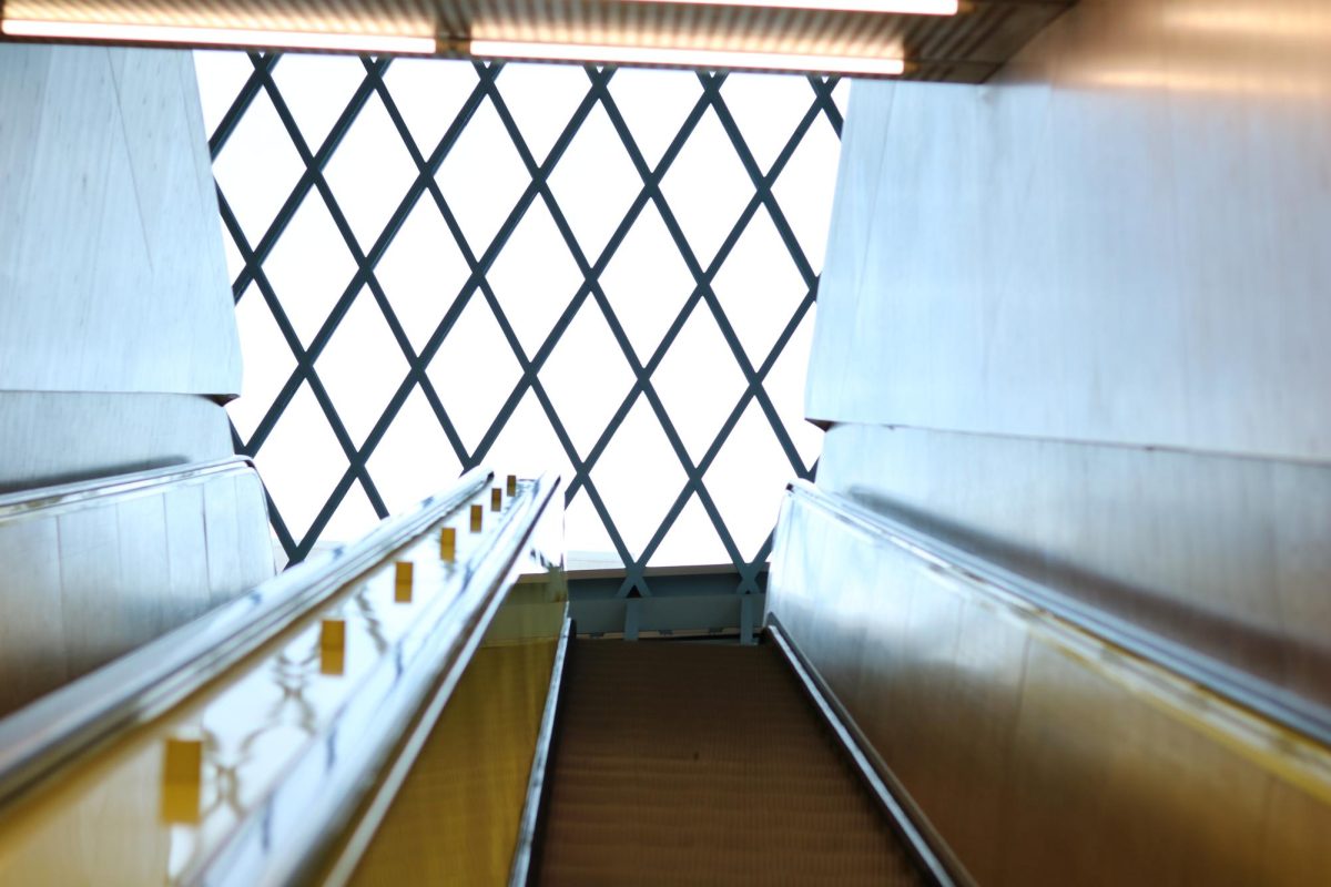 The escalators are just as important as the sybolism behin the colors in the Seattle Public Library. The Seattle Public Library was the first library to have escalator within a library. 