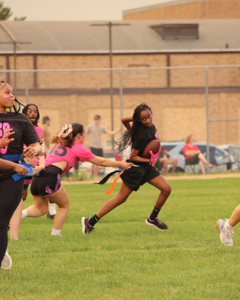 powderpuff (11)