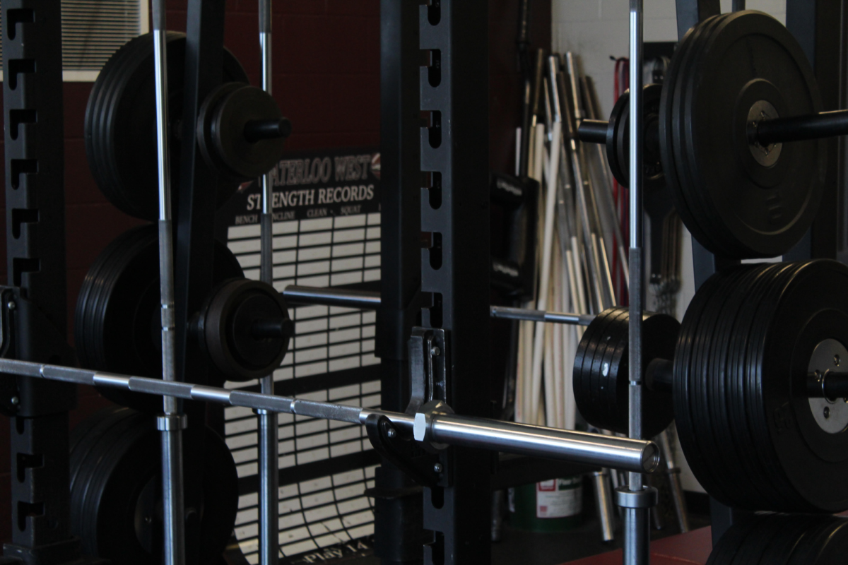Starting in the Gym: Real Advice from Lifters Who’ve Been There